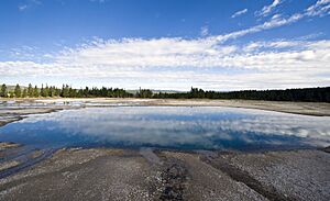 Turquoise Pool YNP1