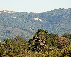 Upper Watershed with Russian Ridge on Right and Montello Ridge on Left July 2011