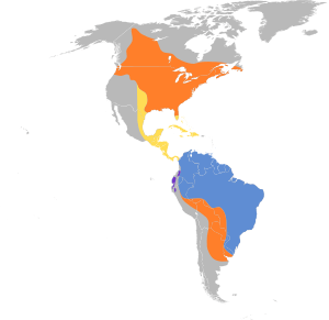 Vireo olivaceus map.svg