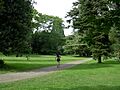 Volunteer Park 01