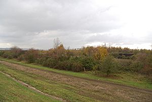 West Thurrock Marshes from the riverside path - geograph.org.uk - 1594182.jpg