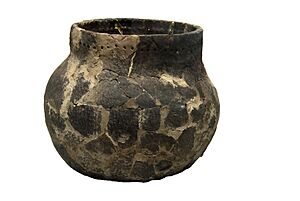 Wiki Archeology