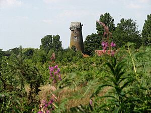 Windmill on Windmill Road - geograph.org.uk - 522238