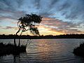 Yanchep sunset
