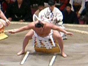 Yokozuna-dohyou-iri (Hakuhou)