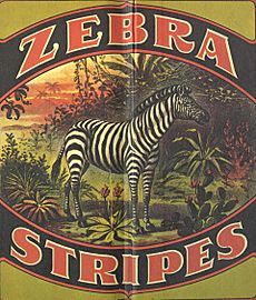 Zebra Stripes Glen Raven 1908