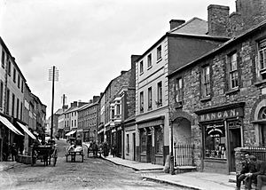 "Street, Dublin City" .... is actually Navan (33043056506)