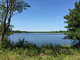 2015-08-21 11 31 28 View west across Success Lake from the vicinity of the dam within the Colliers Mills Wildlife Management Area in Jackson, New Jersey.jpg