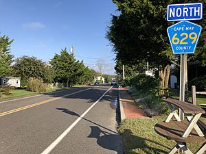 2018-10-09 09 03 01 View north along Cape May County Route 629 (Lighthouse Avenue) just north of Cape May County Route 651 (Lincoln Avenue) in Cape May Point, Cape May County, New Jersey