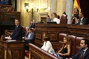 2019-07-22, Sesión de investidura de Pedro Sánchez, Cámara del Congreso de los Diputados, Pool Moncloa-Fernando Calvo