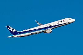All Nippon Airways Airbus A321 (JA113A) at Tokyo Haneda Airport