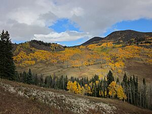 Arapaho National Forest 2010 USDAgov