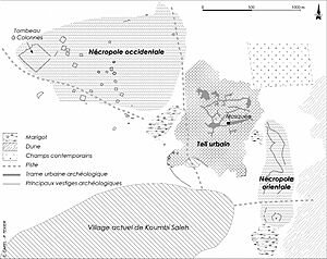 Archaeological site of Koumbi Saleh