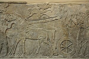 Assyrian war chariot dating back to the reign of Ashurnasirpal II, 865-860 BCE. Detail of a gypsum wall relief from Nimrud, Iraq, currently housed in the British Museum