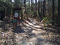 Bald Eagle Nest Trail at South Toledo Bend State Park