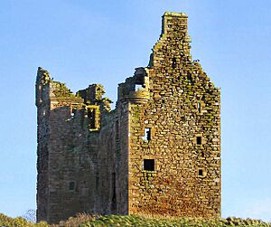 Baltersan Castle - geograph.org.uk - 429772