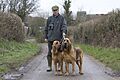 Bloodhound Trials Alton 2008