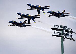 Blue Angels Double Farvel