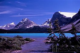 Bow Lake, Crowfoot Glacier, et al.jpg
