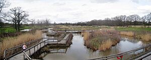British Wildlife Centre, Lingfield - geograph.org.uk - 1784448