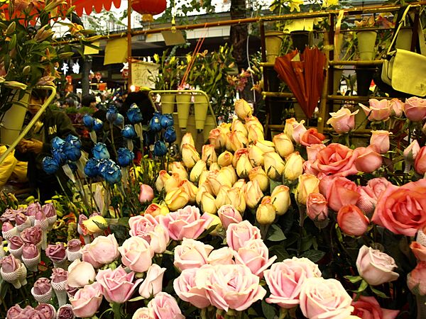 CNY Fair Canton 2010