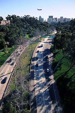 Cabrillo Freeway