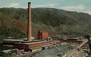 Cascade Mill c. 1920