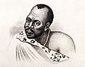 Chief Hintsa of the Gcaleka Xhosa
