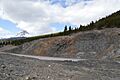 Crowsnest Fm 0215