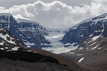 Dome Glacier on the Columbia Icefield.jpg