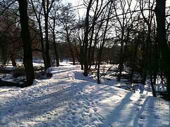 Dufferin walking trail winter