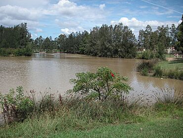 Dujoun Lake, Cecil Hills (2010).jpg