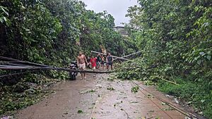 Effects of Typhoon Tino in Cebu City 2025-11-04 003