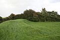 End of the bank - geograph.org.uk - 977036