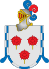 Coat of arms of Zizur Mayor / Zizur Nagusia