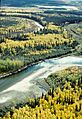 Fall on the Yukon Flats NWR