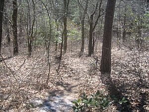 First Landing State Park