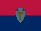 Flag of the United States Army 36th Infantry Division
