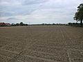 Flanders fields at Langemark-Poelkapelle 1
