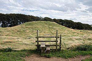 Picture of a burial mound