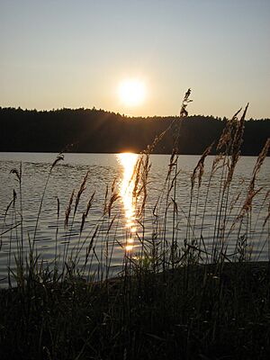 Grass in sunset at Rabbit Lake Temagami