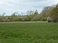 Hardwick Lodge Meadow 4