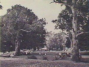 Hazelwood park children playing 1930