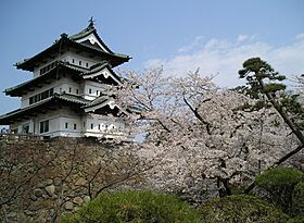 Hirosaki-castle Aomori with Sakura blossoms.jpg