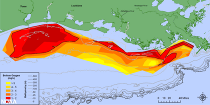 IMAGE-Map of measured Gulf hypoxia zone, July 25-31, 2021-LUMCON-NOAA