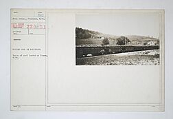 Industries of War - Mining - Coal - Mining coal in war times. Train of coal loaded at Idamay, West Virginia - NARA - 45488606.jpg