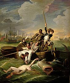 John Singleton Copley - Watson and the Shark (Detroit)