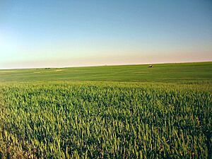Klickitat County vast farmlands