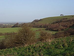 Ladle-Hill-geograph-306526-by-Andrew-Smith.jpg