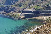 Lamorna Cove Cornwall 4
